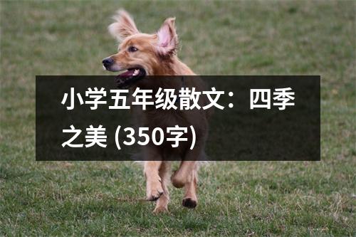 小學(xué)五年級(jí)散文：四季之美 (350字)