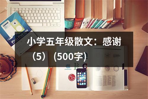 小學(xué)五年級(jí)散文：感謝（5） (500字)