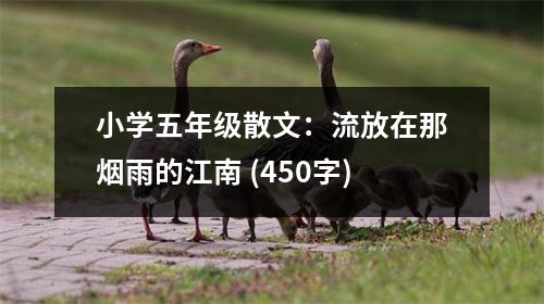 小學(xué)五年級散文：流放在那煙雨的江南 (450字)