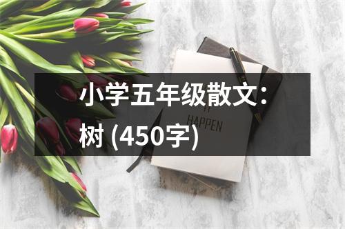 小學(xué)五年級(jí)散文：樹 (450字)