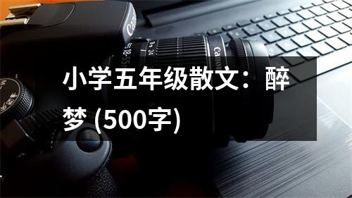 小學(xué)五年級(jí)散文：醉夢(mèng) (500字)