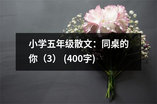 小學(xué)五年級(jí)散文：同桌的你（3） (400字)