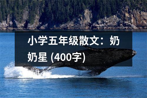 小學五年級散文：奶奶星 (400字)
