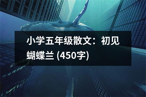 小學(xué)五年級(jí)散文：初見(jiàn)蝴蝶蘭 (450字)