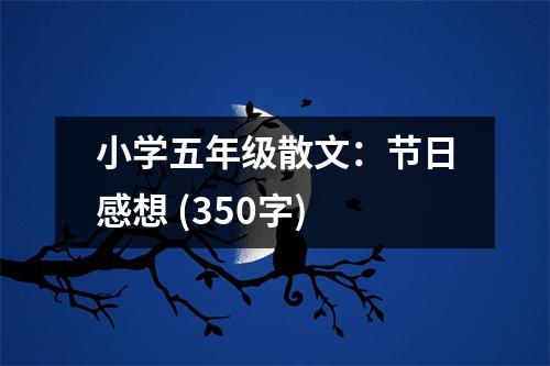 小學(xué)五年級(jí)散文：節(jié)日感想 (350字)