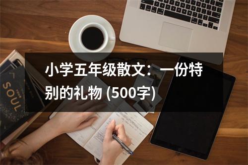 小學(xué)五年級散文：一份特別的禮物 (500字)