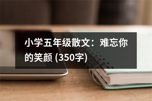 小學(xué)五年級散文：難忘你的笑顏 (350字)