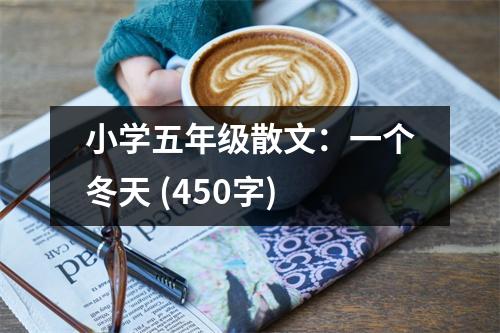 小學(xué)五年級散文：一個(gè)冬天 (450字)
