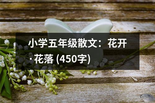 小學(xué)五年級散文：花開·花落 (450字)