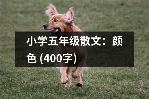 小學五年級散文：顏色 (400字)