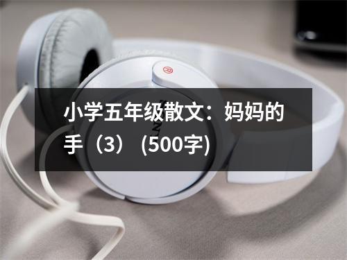 小學五年級散文：媽媽的手（3） (500字)