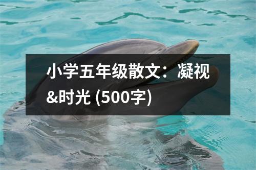 小學五年級散文：凝視&時光 (500字)