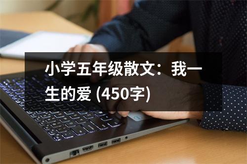 小學(xué)五年級(jí)散文：我一生的愛 (450字)