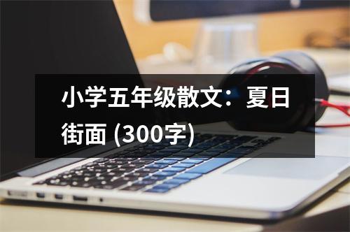 小學(xué)五年級(jí)散文：夏日街面 (300字)