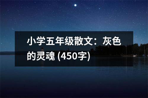 小學(xué)五年級(jí)散文：灰色的靈魂 (450字)