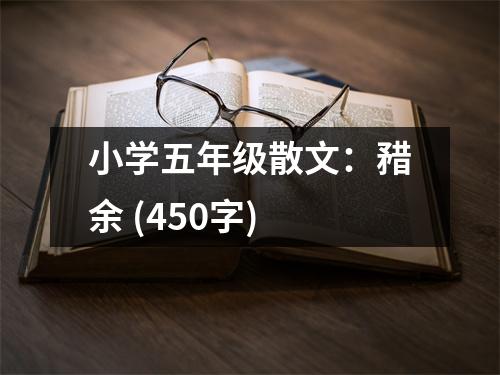 小學(xué)五年級散文：矠余 (450字)