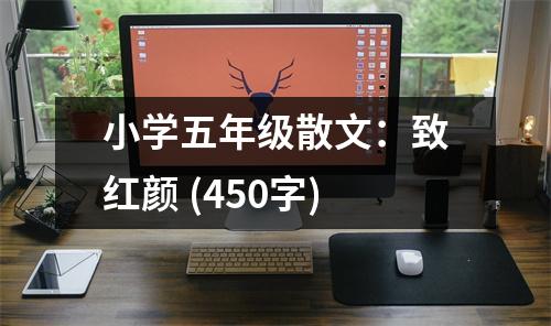 小學(xué)五年級散文：致紅顏 (450字)