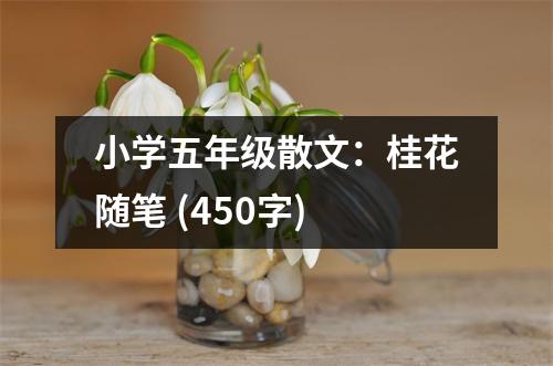 小學(xué)五年級散文：桂花隨筆 (450字)