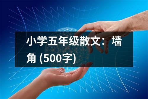 小學(xué)五年級(jí)散文：墻角 (500字)