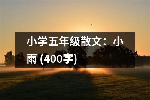 小學(xué)五年級(jí)散文：小雨 (400字)