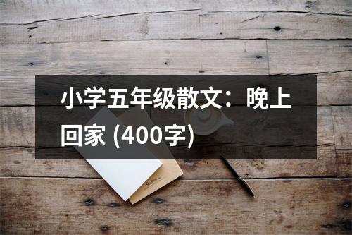 小學(xué)五年級(jí)散文：晚上回家 (400字)