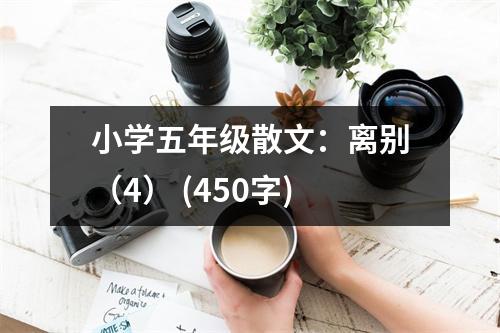 小學(xué)五年級散文：離別（4） (450字)