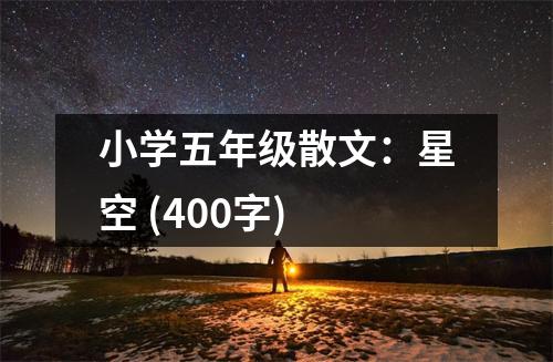 小學(xué)五年級散文：星空 (400字)