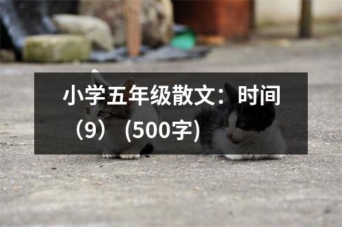 小學(xué)五年級散文：時間（9） (500字)