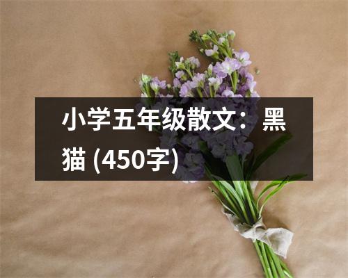 小學(xué)五年級散文：黑貓 (450字)