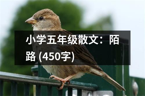 小學(xué)五年級散文：陌路 (450字)
