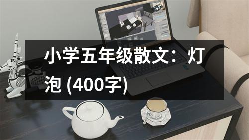 小學(xué)五年級散文：燈泡 (400字)