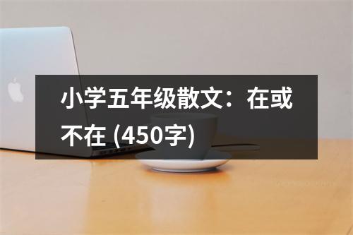 小學(xué)五年級散文：在或不在 (450字)
