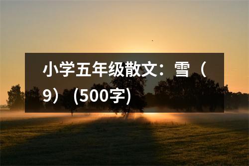 小學(xué)五年級(jí)散文：雪（9） (500字)
