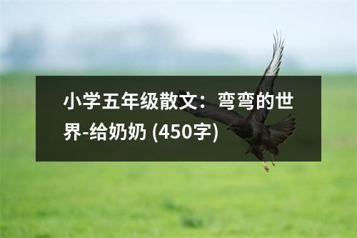 小學(xué)五年級(jí)散文：彎彎的世界-給奶奶 (450字)