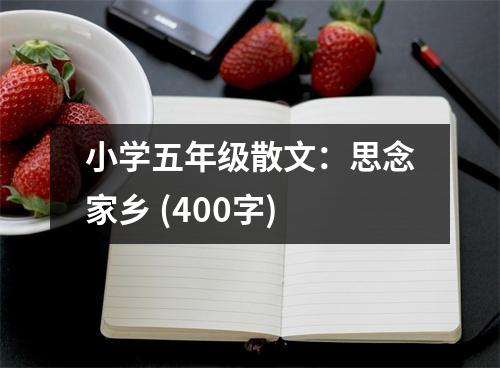 小學(xué)五年級(jí)散文：思念家鄉(xiāng) (400字)