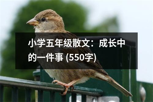 小學(xué)五年級(jí)散文：成長(zhǎng)中的一件事 (550字)