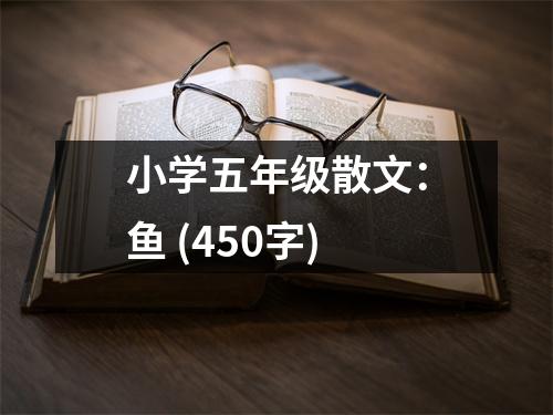 小學(xué)五年級(jí)散文：魚(yú) (450字)