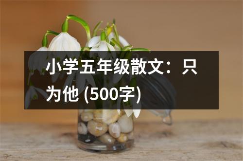小學(xué)五年級散文：只為他 (500字)