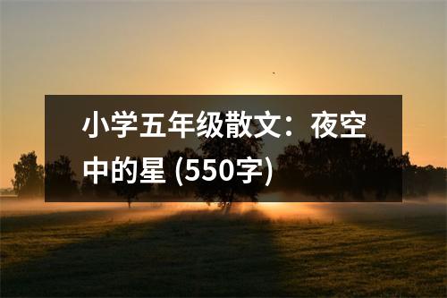小學(xué)五年級散文：夜空中的星 (550字)