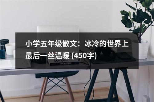 小學(xué)五年級散文：冰冷的世界上最后一絲溫暖 (450字)
