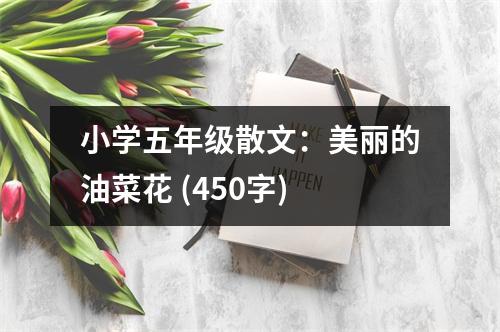 小學(xué)五年級散文：美麗的油菜花 (450字)