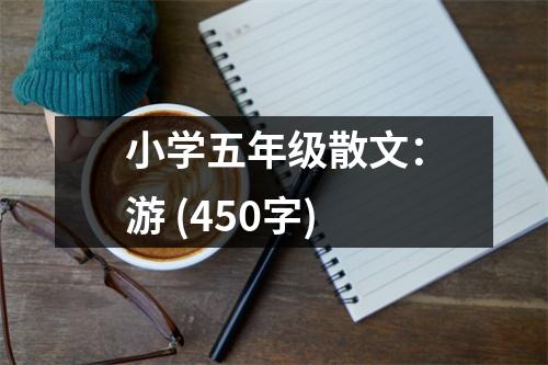 小學(xué)五年級(jí)散文：游 (450字)
