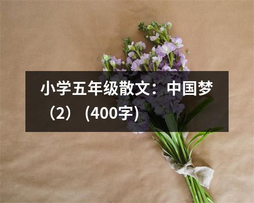 小學(xué)五年級(jí)散文：中國夢（2） (400字)