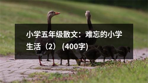 小學(xué)五年級(jí)散文：難忘的小學(xué)生活（2） (400字)