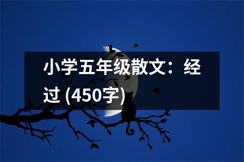 小學(xué)五年級(jí)散文：經(jīng)過 (450字)