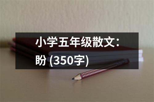 小學(xué)五年級(jí)散文：盼 (350字)