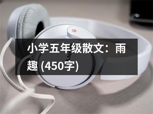 小學(xué)五年級(jí)散文：雨趣 (450字)