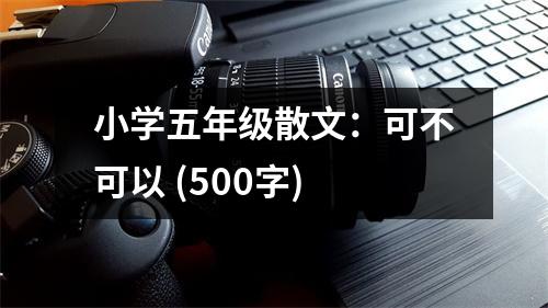 小學(xué)五年級(jí)散文：可不可以 (500字)