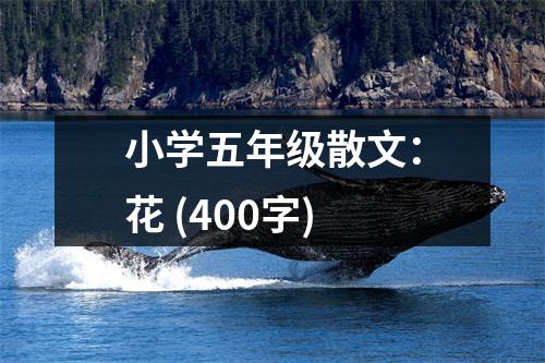 小學(xué)五年級(jí)散文：花 (400字)