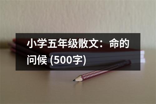 小學(xué)五年級(jí)散文：命的問(wèn)候 (500字)